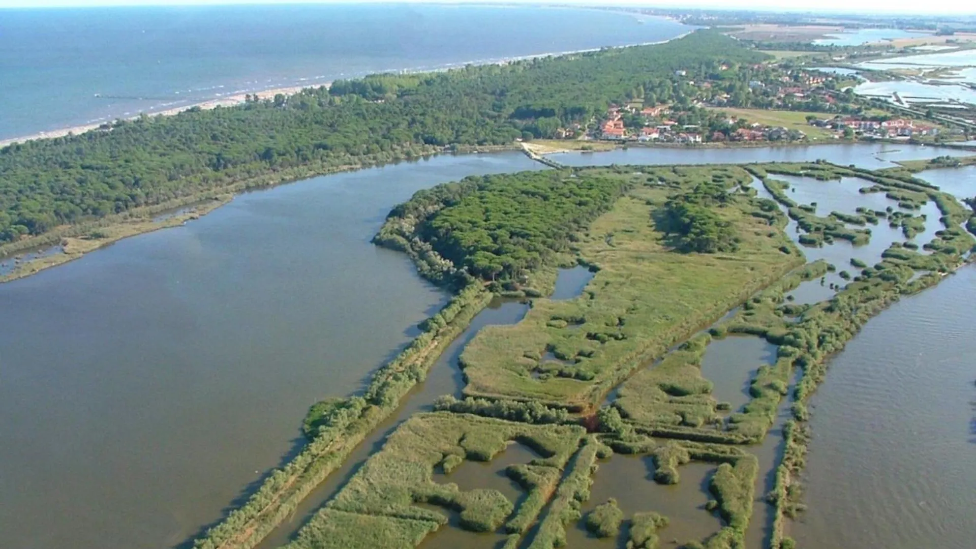 Welcoming Flat Near The Beach Rosolina Mare Apartment